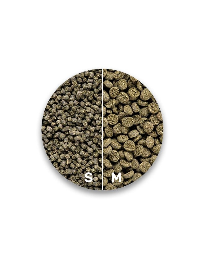 Hikari Marine Seaweed Extreme Sinking Medium Wafer - 90GM - Image 2